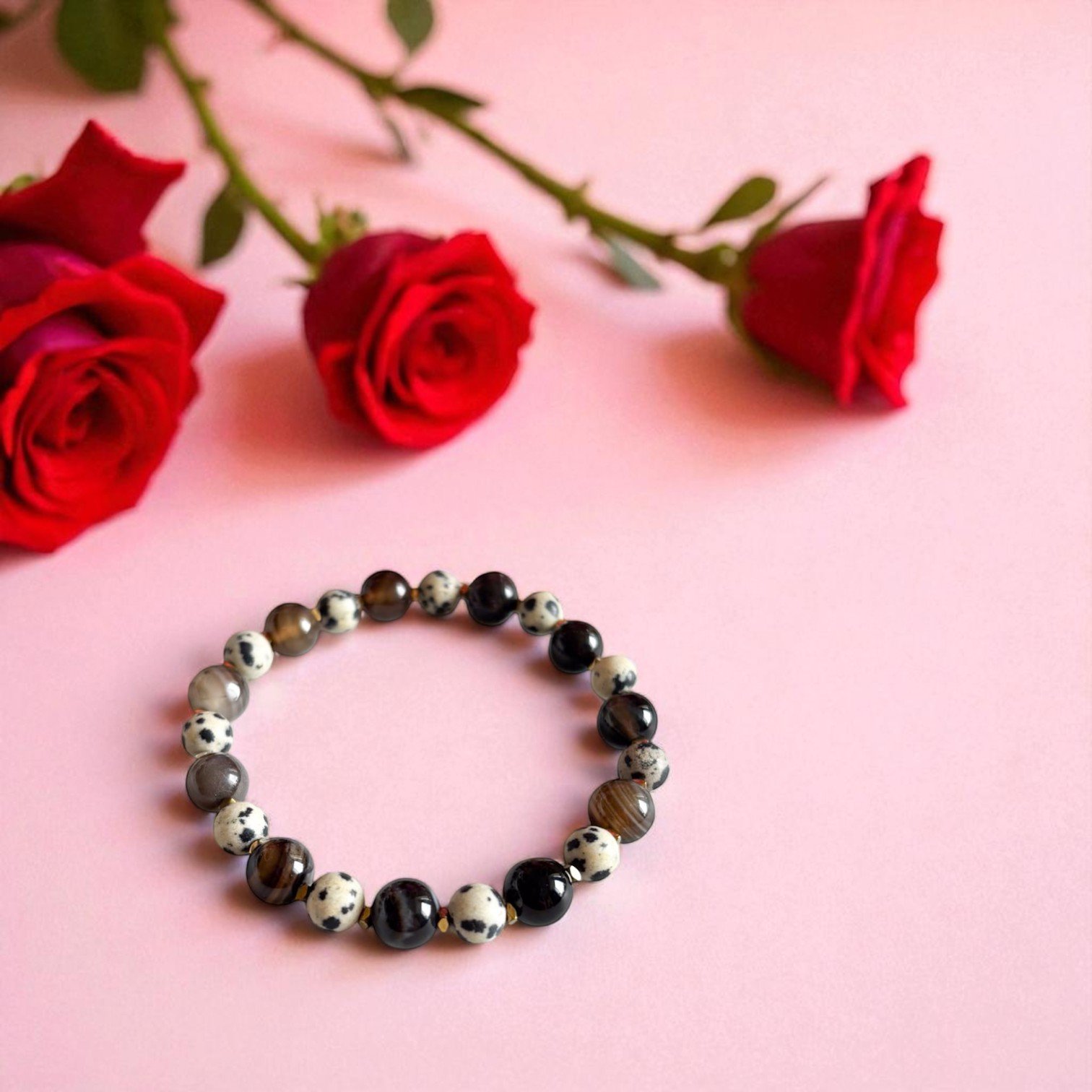 248-IMG_0737-Photoroom